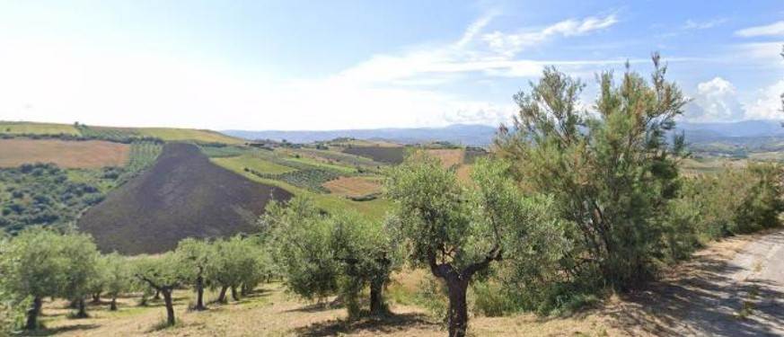 Terreno Agricolo in vendita a Castel Frentano, 1 locali, prezzo € 20.000 | PortaleAgenzieImmobiliari.it
