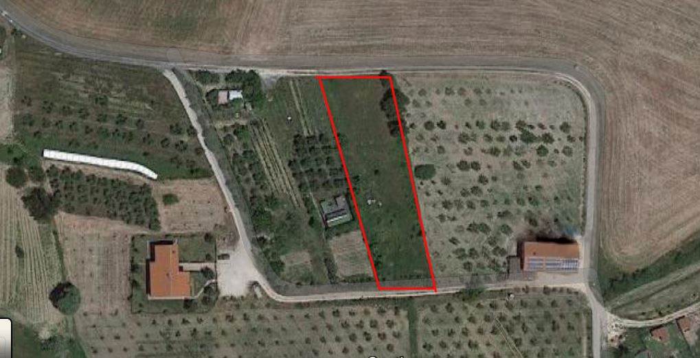Terreno Agricolo in vendita a Rosignano Marittimo - Zona: Castelnuovo della Misericordia