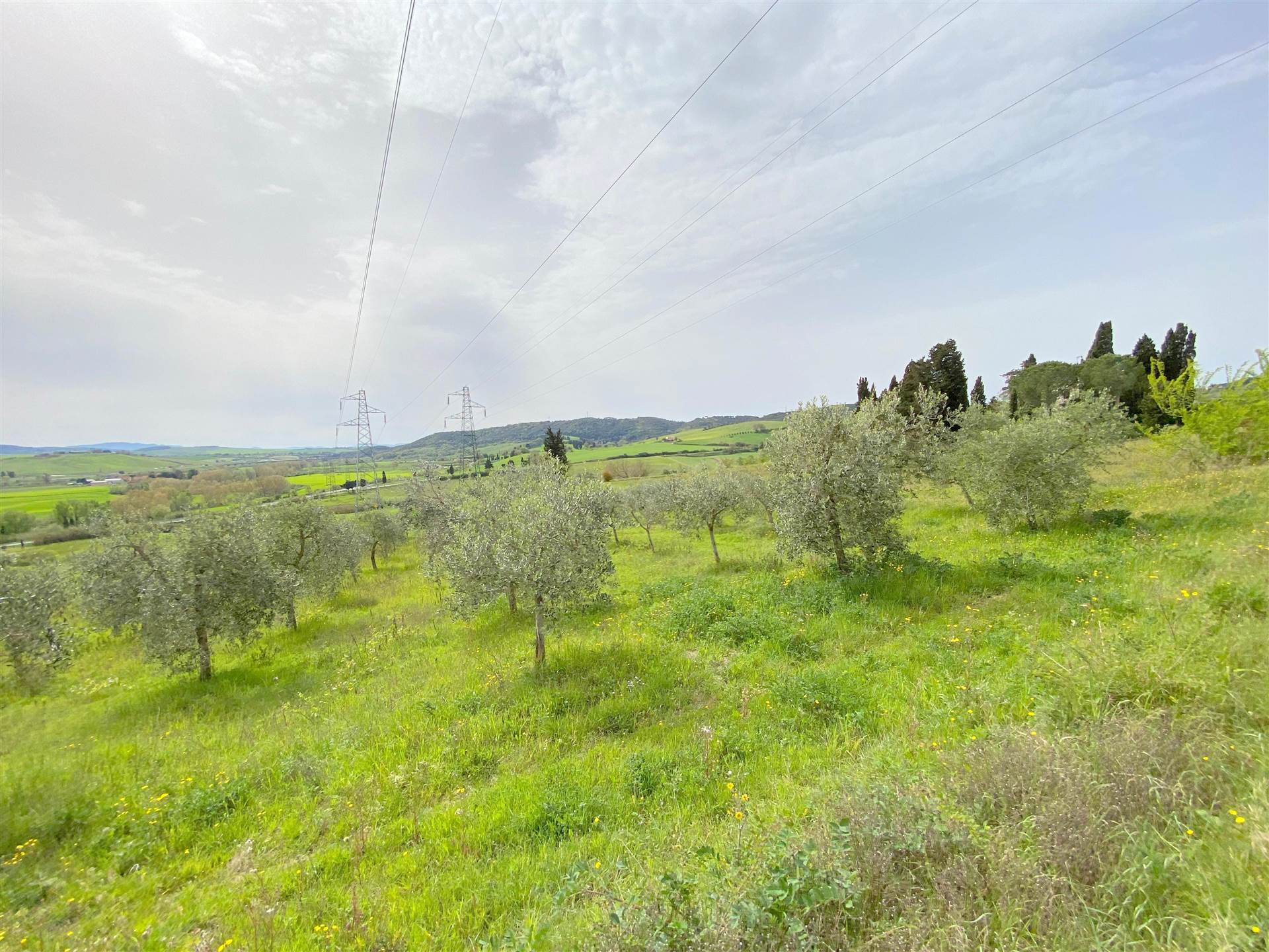 Terreno Agricolo in vendita a Rosignano Marittimo, 9999 locali, zona elnuovo della Misericordia, prezzo € 30.000 | PortaleAgenzieImmobiliari.it