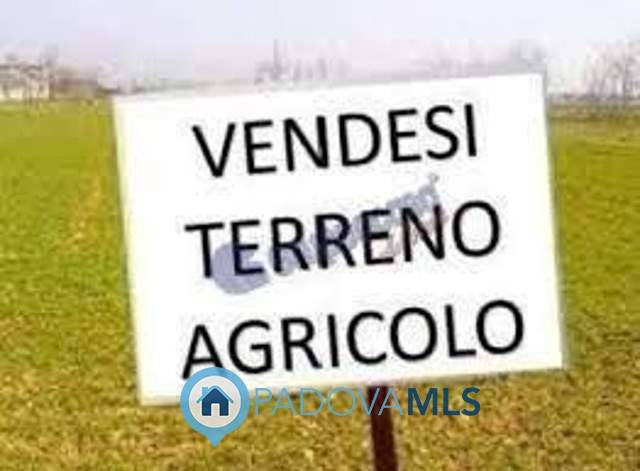 Terreno Agricolo in vendita a Due Carrare, 9999 locali, zona Zona: Terradura, prezzo € 145.000 | CambioCasa.it