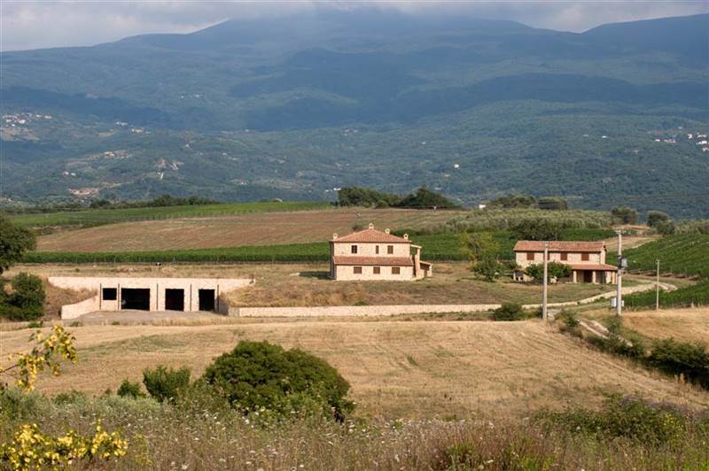 Azienda Agricola in vendita a Castel del Piano - Zona: Montenero d'Orcia