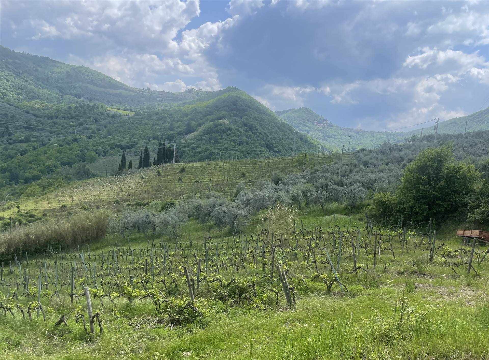 Terreno Agricolo in vendita a Greve in Chianti - Zona: San Polo in Chianti