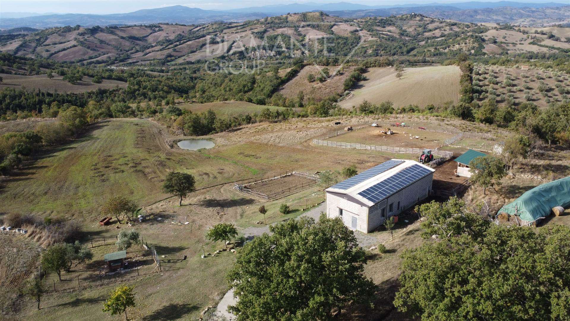 Azienda Agricola in vendita a Roccalbegna, 8 locali, prezzo € 1.100.000 | PortaleAgenzieImmobiliari.it