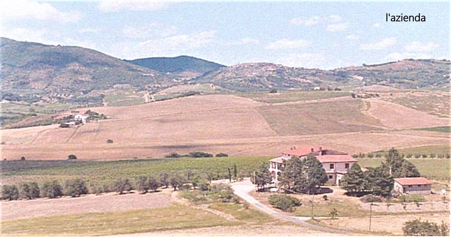 Azienda Agricola in vendita a Castel del Piano, 12 locali, zona enero d'Orcia, prezzo € 1.100.000 | PortaleAgenzieImmobiliari.it