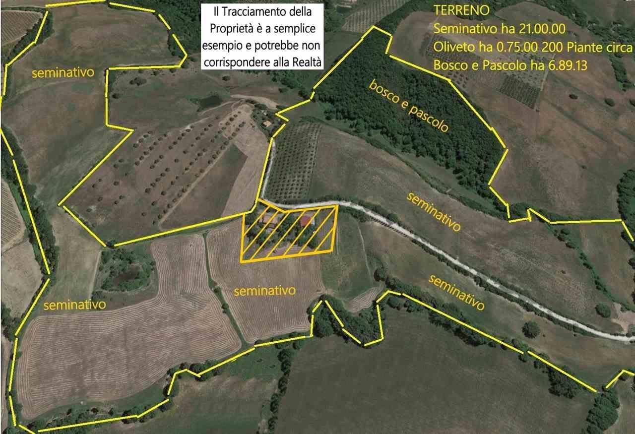 Terreno Agricolo in vendita a Cinigiano, 9999 locali, zona Località: VICINANZA PAESE, prezzo € 270.000 | PortaleAgenzieImmobiliari.it