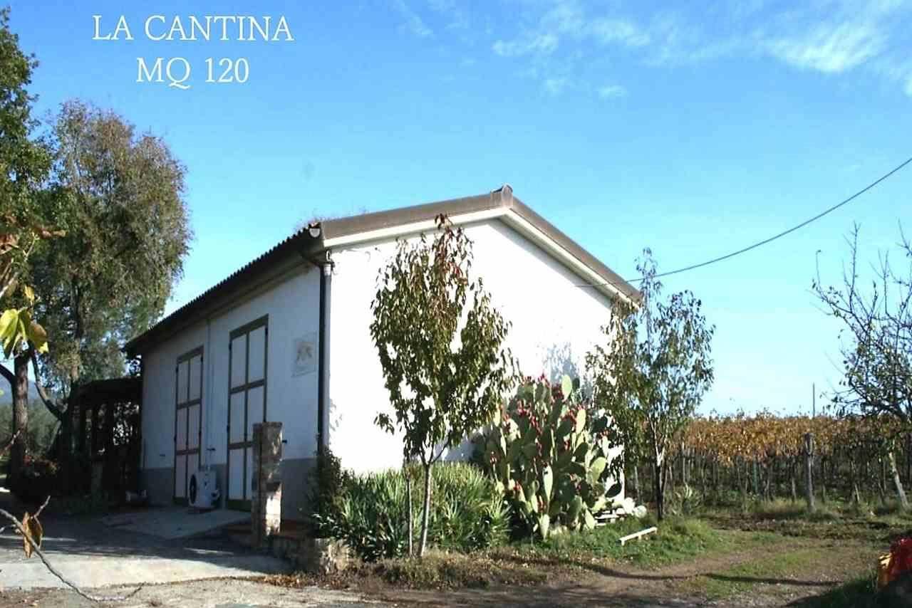 Azienda Agricola in Vendita a Roccastrada
