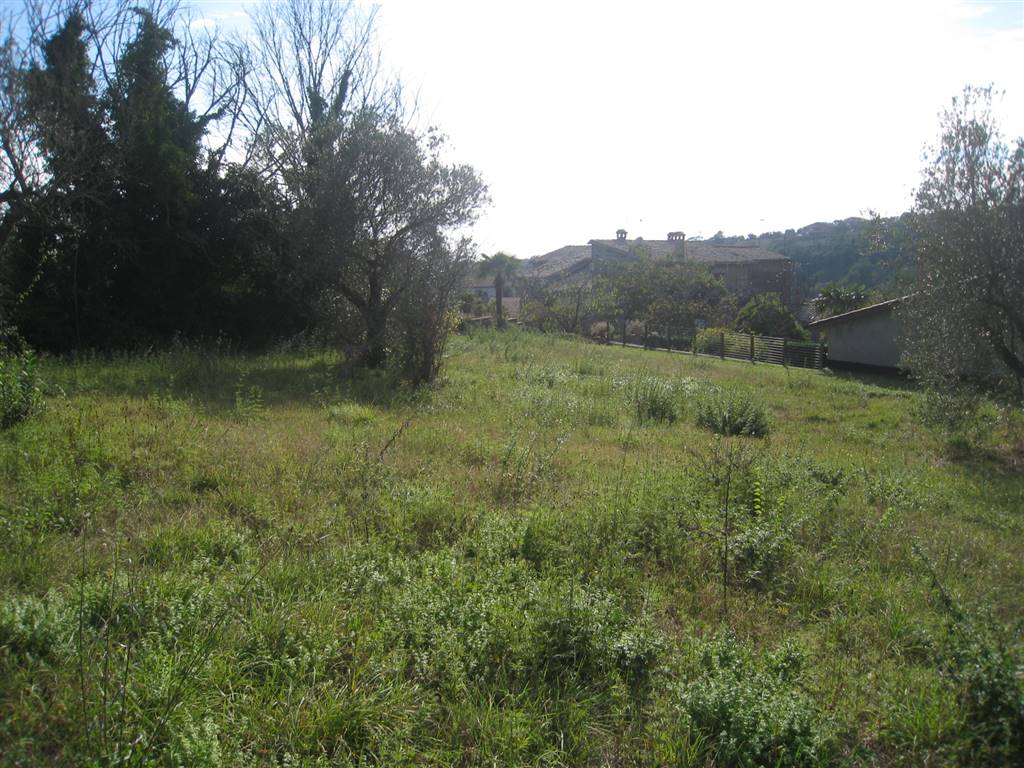 Terreno Edificabile Residenziale in Vendita a Montefiascone