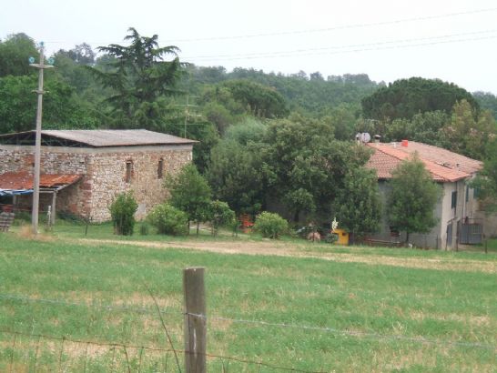 Azienda Agricola in vendita a Magliano in Toscana