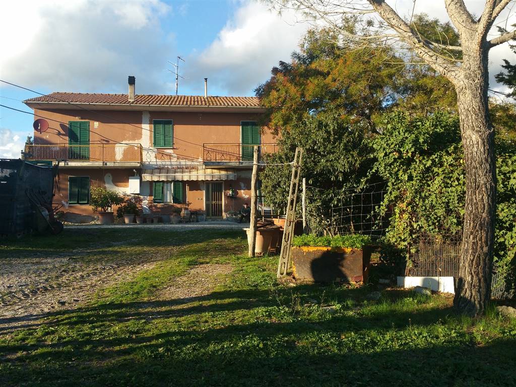 Rustico / Casale in vendita a Scansano, 6 locali, prezzo € 420.000 | PortaleAgenzieImmobiliari.it