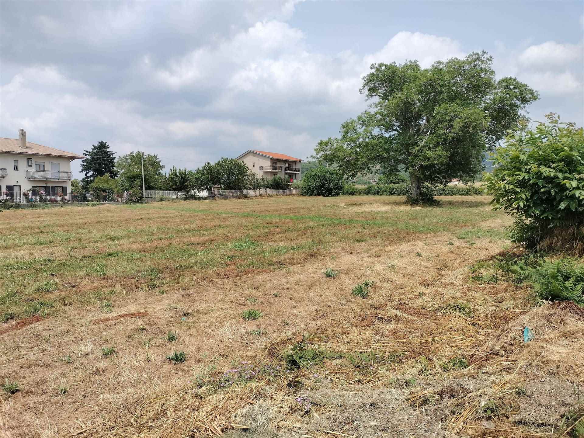 Terreno Edificabile Residenziale in vendita a Mangone, 9999 locali, prezzo € 190.000 | PortaleAgenzieImmobiliari.it