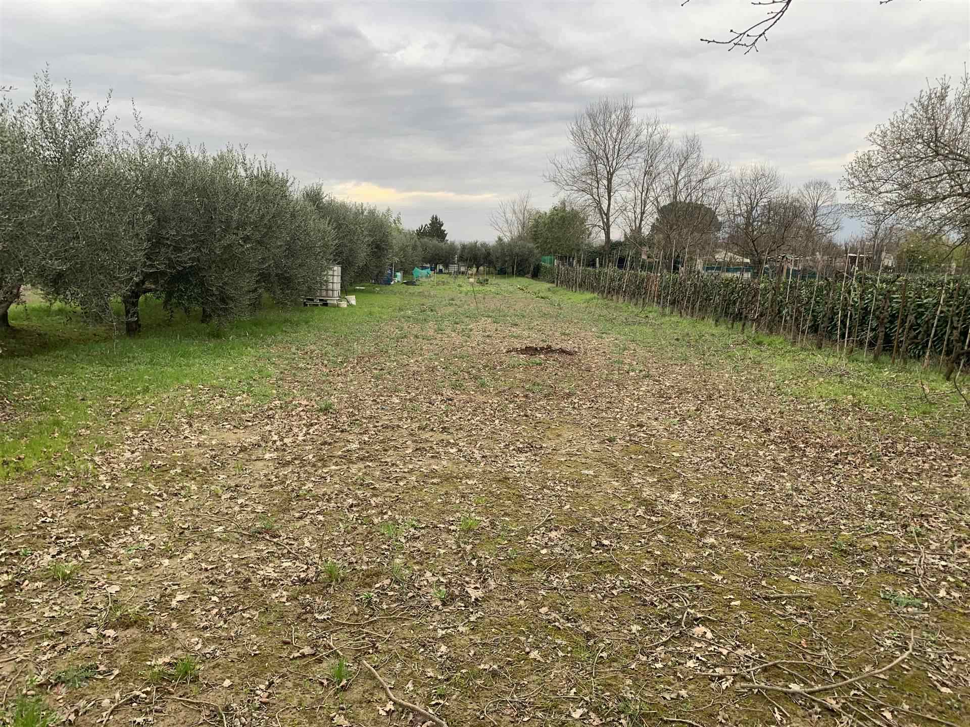 Terreno Agricolo in vendita a Campi Bisenzio, 9999 locali, zona Località: ESSELUNGA, prezzo € 120.000 | PortaleAgenzieImmobiliari.it