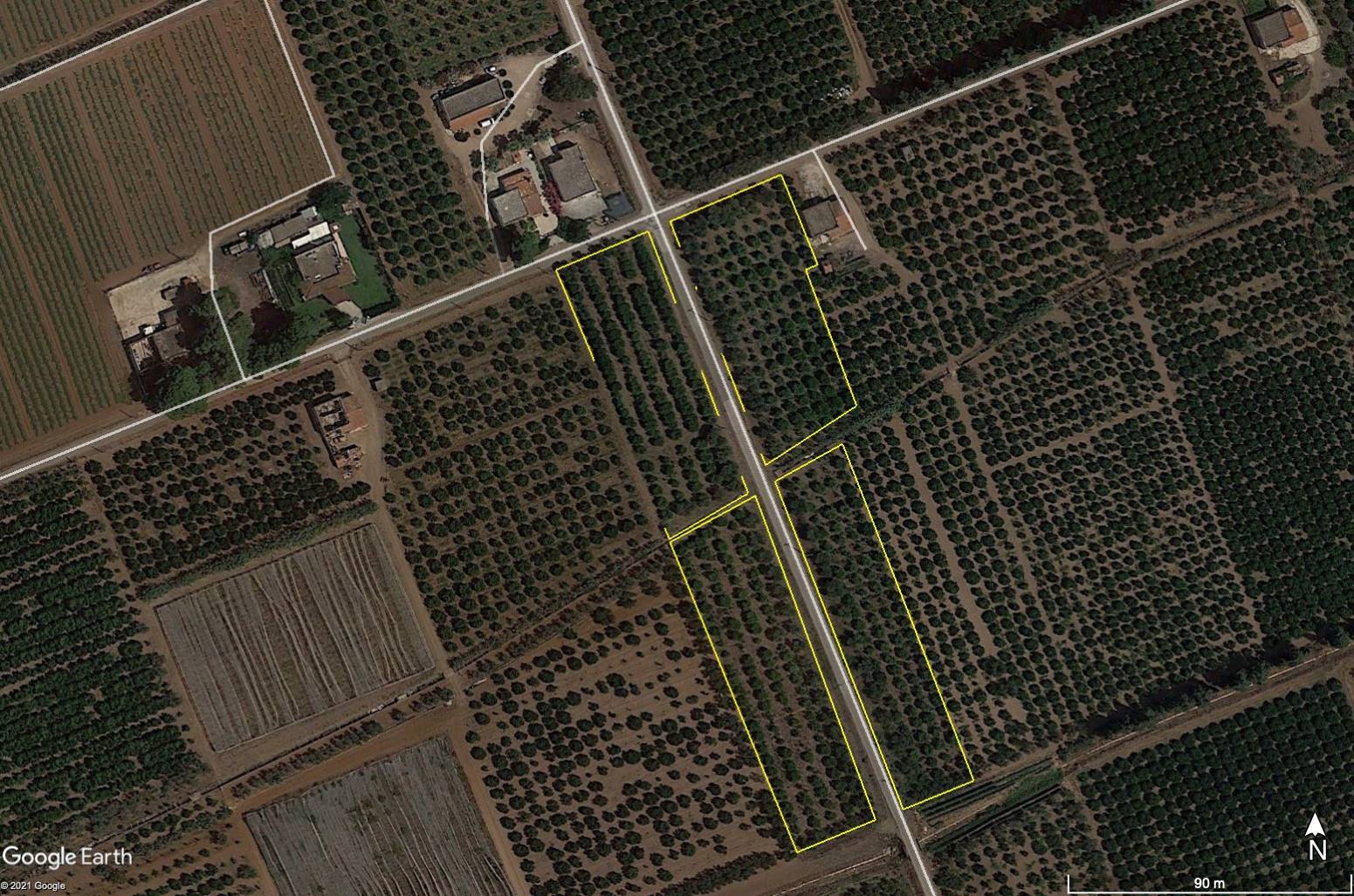 Terreno Agricolo in vendita a Palagiano, 1 locali, zona Località: CONCA D'ORO, prezzo € 45.000 | CambioCasa.it