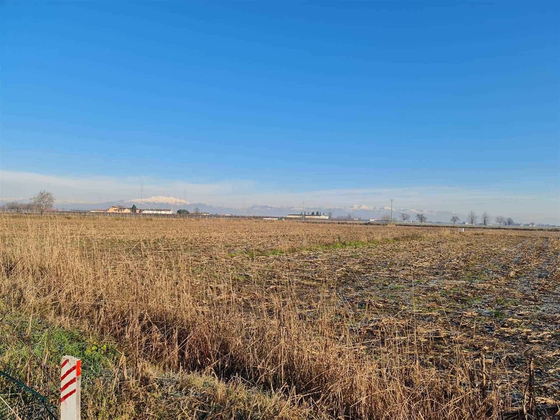 Terreno Agricolo in vendita a Mozzecane, 9999 locali, zona Zeno, prezzo € 310.000 | PortaleAgenzieImmobiliari.it