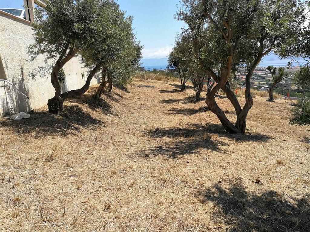 Terreno Agricolo in Vendita a Messina