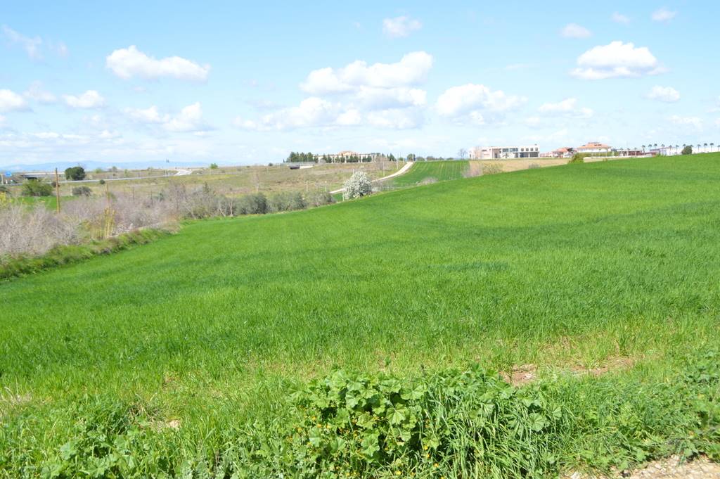 Terreno Agricolo in vendita a Lavello, 9999 locali, prezzo € 45.000 | PortaleAgenzieImmobiliari.it