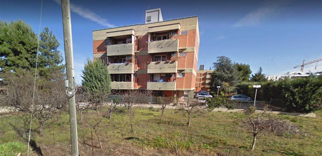 Terreno Agricolo in vendita a Adelfia, 9999 locali, zona eto, Trattative riservate | PortaleAgenzieImmobiliari.it