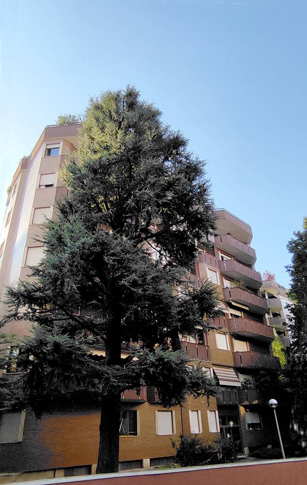 Appartamento in vendita a Saronno, 3 locali, zona Località: PISCINA, prezzo € 248.000 | PortaleAgenzieImmobiliari.it