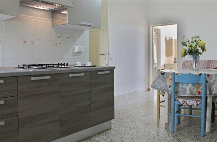 Appartamento in affitto a Castagneto Carducci, 3 locali, zona na di Castagneto Carducci, prezzo € 250 | PortaleAgenzieImmobiliari.it