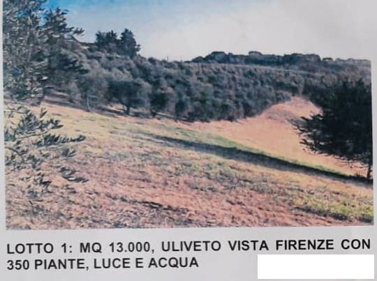 Terreno Agricolo in vendita a Lastra a Signa, 9999 locali, zona Zona: Malmantile, prezzo € 90.000 | CambioCasa.it