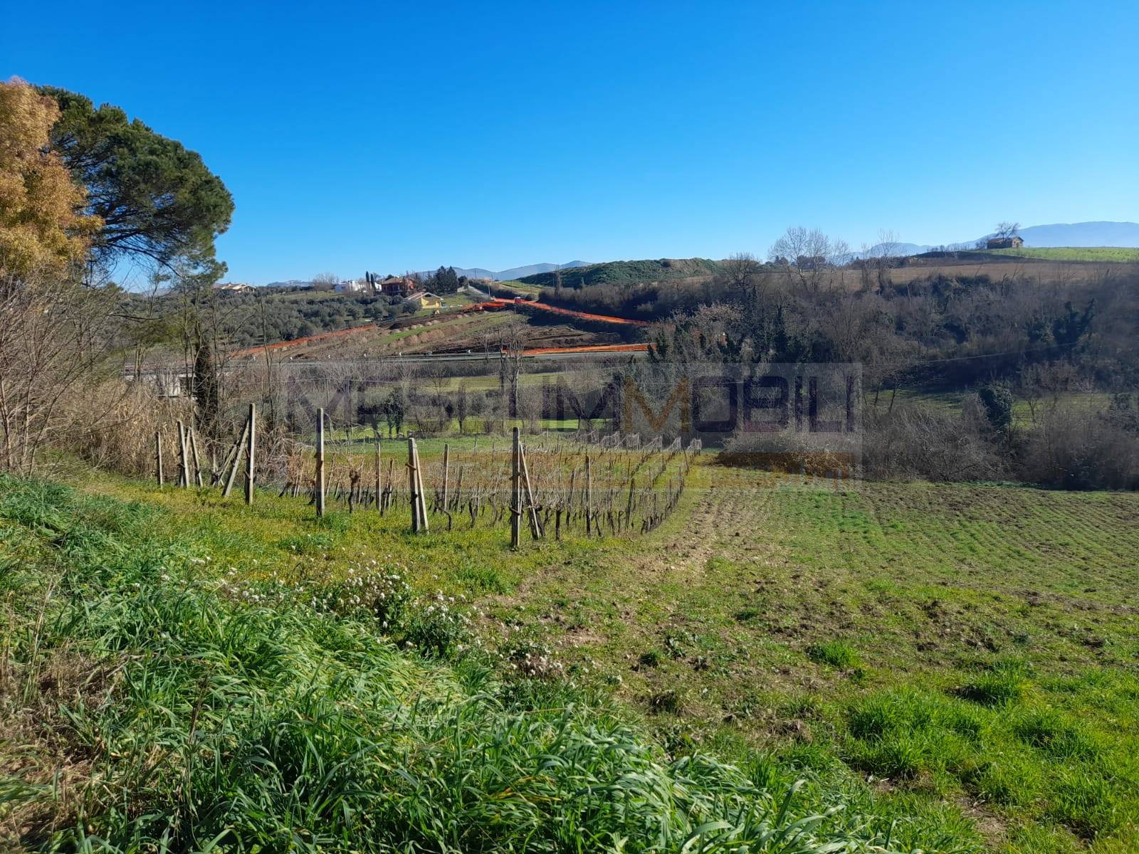 Terreno Agricolo in vendita a Montopoli di Sabina, 1 locali, zona Località: PONTICCHIO, prezzo € 100.000 | PortaleAgenzieImmobiliari.it