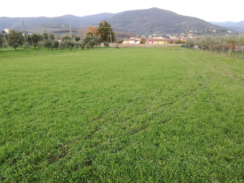Terreno Agricolo in vendita a Montale, 9999 locali, prezzo € 25 | CambioCasa.it
