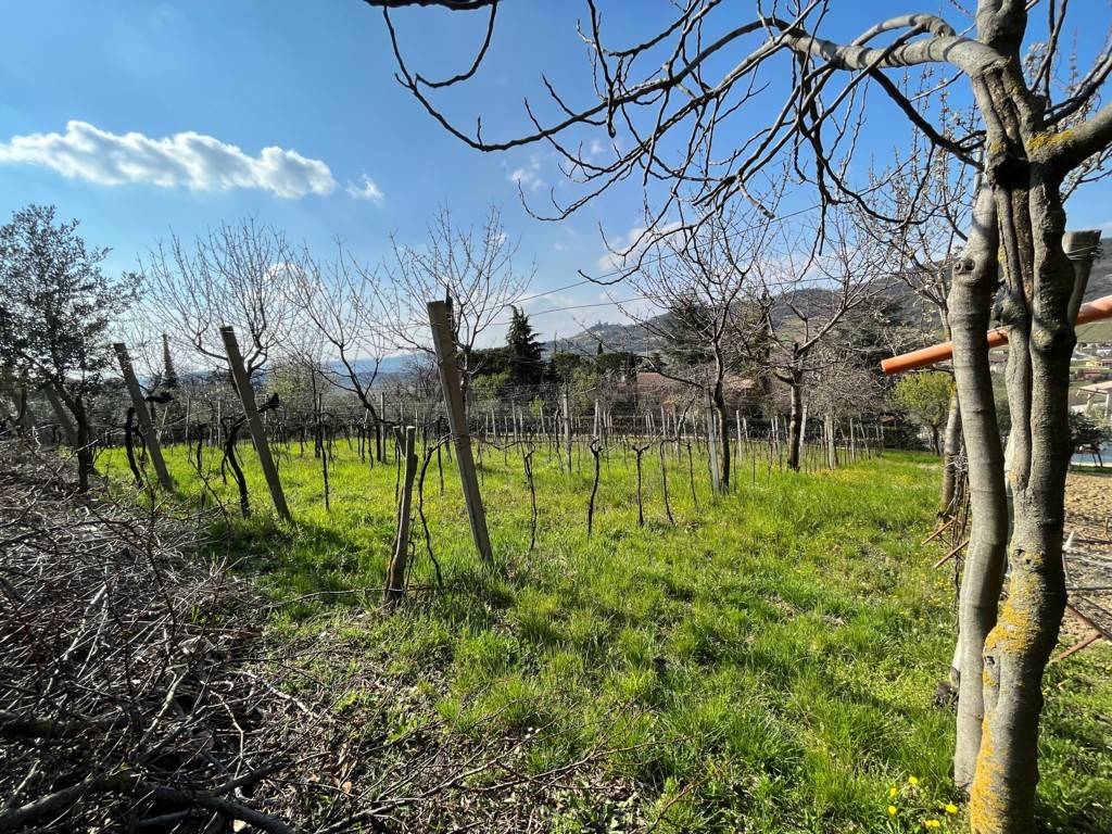 Terreno Agricolo in vendita a Brendola, 9999 locali, zona Valentino, prezzo € 85.000 | PortaleAgenzieImmobiliari.it