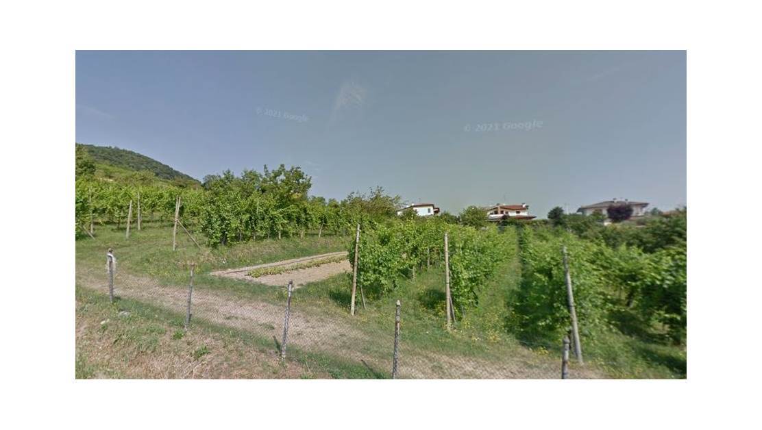 Villa Bifamiliare in vendita a Longare