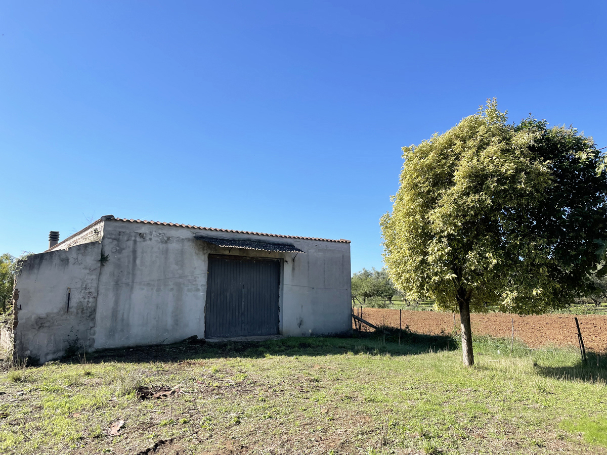 Terreno Agricolo in vendita a Nepi, 9999 locali, prezzo € 89.000 | PortaleAgenzieImmobiliari.it
