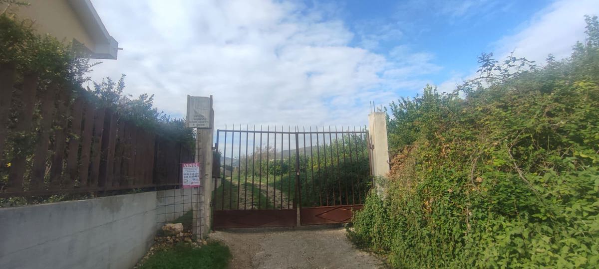 Terreno Agricolo in vendita a Avola, 9999 locali, prezzo € 60.000 | PortaleAgenzieImmobiliari.it