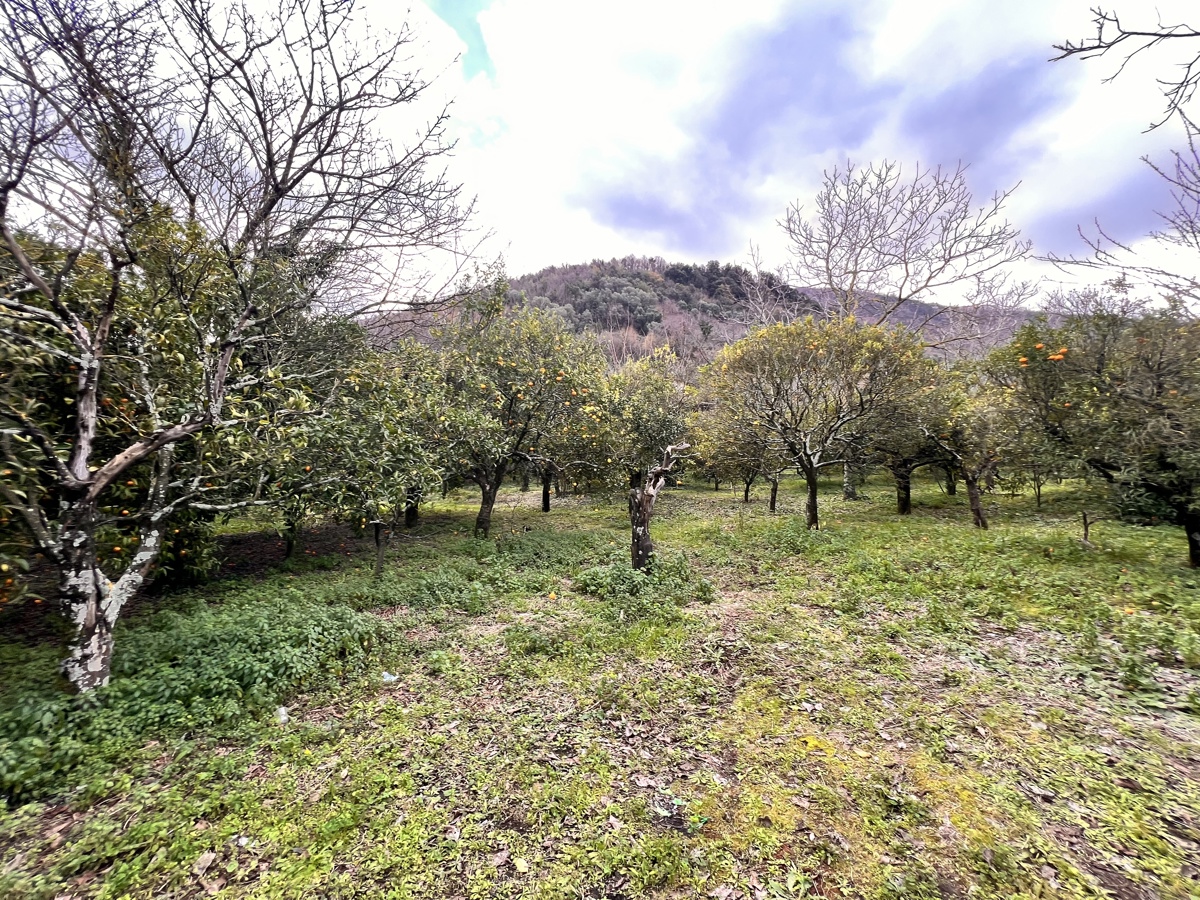 Terreno Agricolo in vendita a Angri, 9999 locali, prezzo € 270.000 | PortaleAgenzieImmobiliari.it