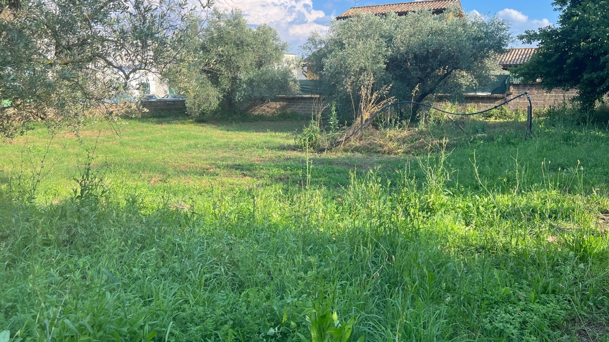 Terreno Edificabile Residenziale in Vendita a Civita Castellana