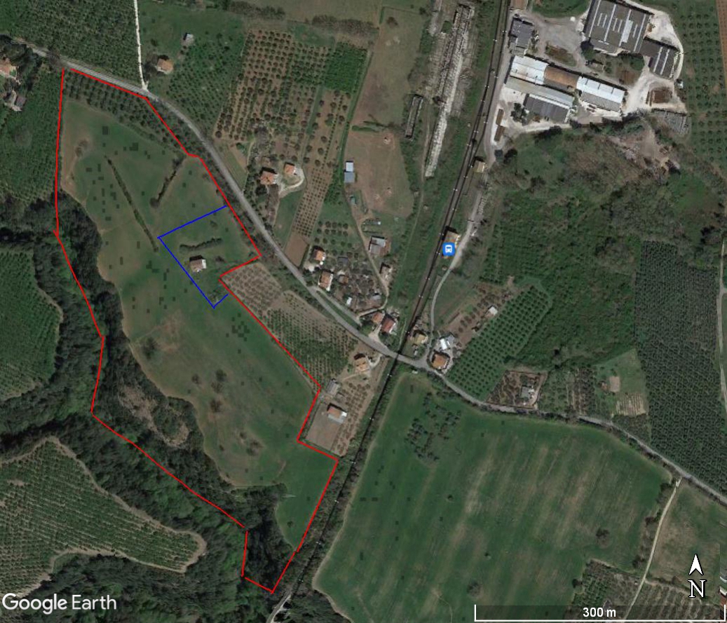 Terreno Agricolo in vendita a Gallese, 9999 locali, prezzo € 298.000 | PortaleAgenzieImmobiliari.it