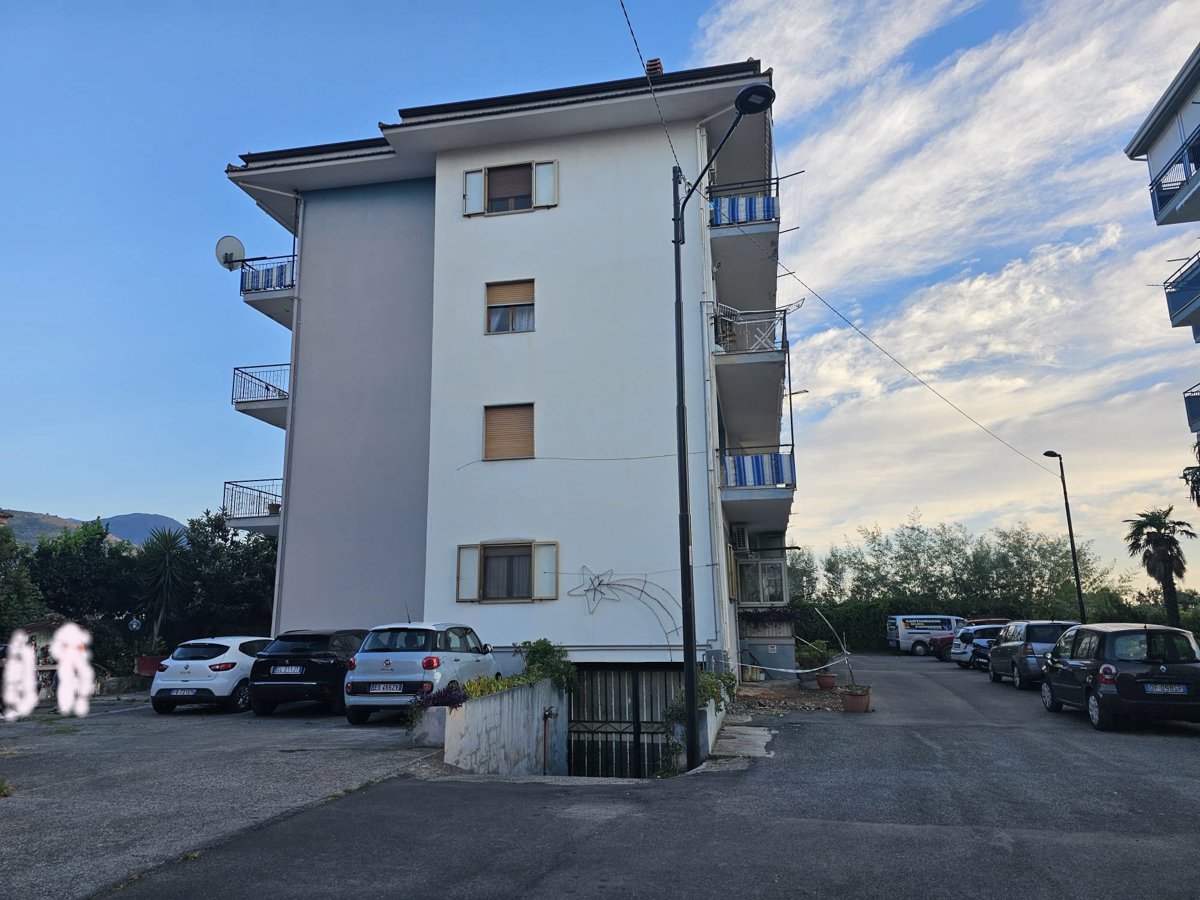 Appartamento in vendita a Santa Maria del Cedro, 4 locali, prezzo € 74.000 | PortaleAgenzieImmobiliari.it