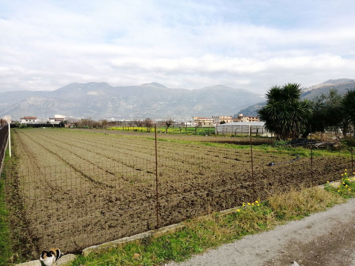 Terreno Agricolo in Vendita a Nocera Inferiore