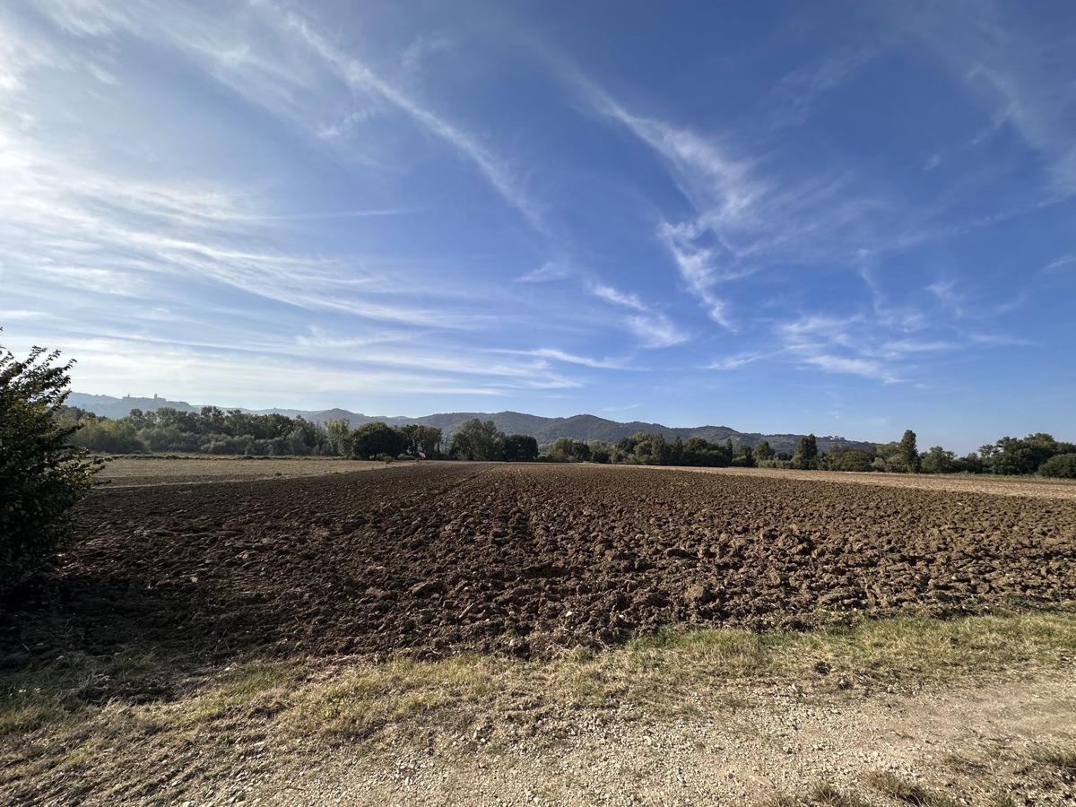 Terreno Agricolo in vendita a Bettona, 9999 locali, prezzo € 60.000 | PortaleAgenzieImmobiliari.it