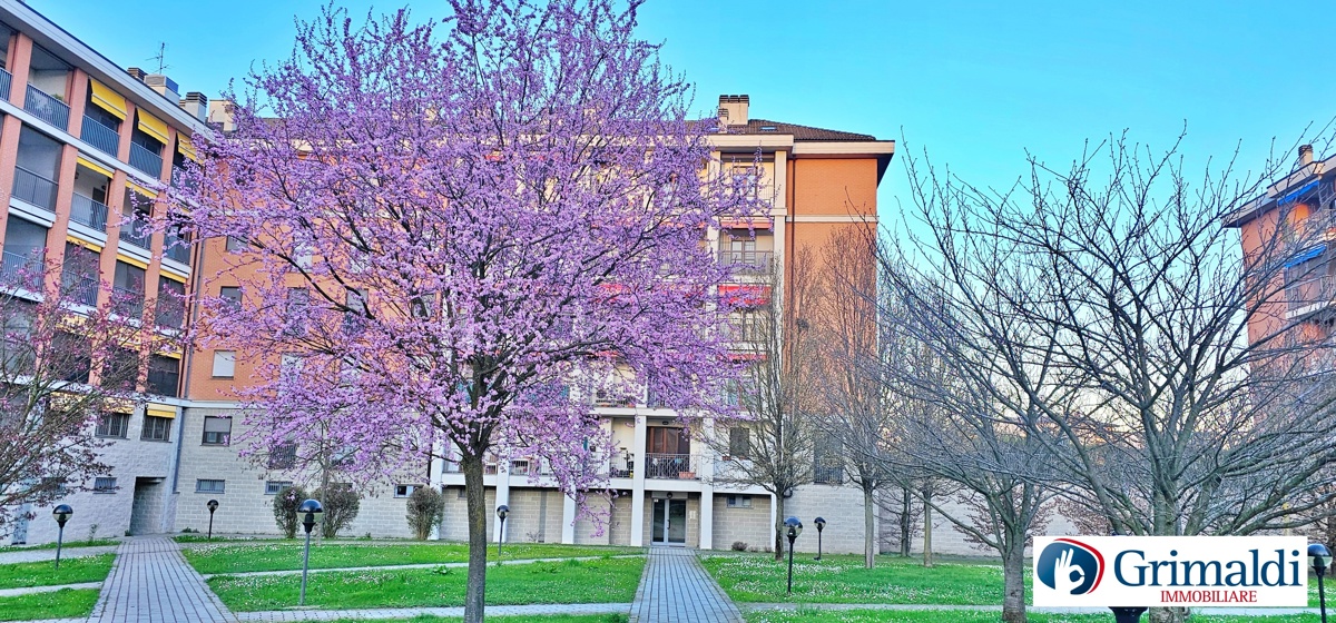 Duplex in vendita a Rozzano, 3 locali, prezzo € 249.000 | PortaleAgenzieImmobiliari.it