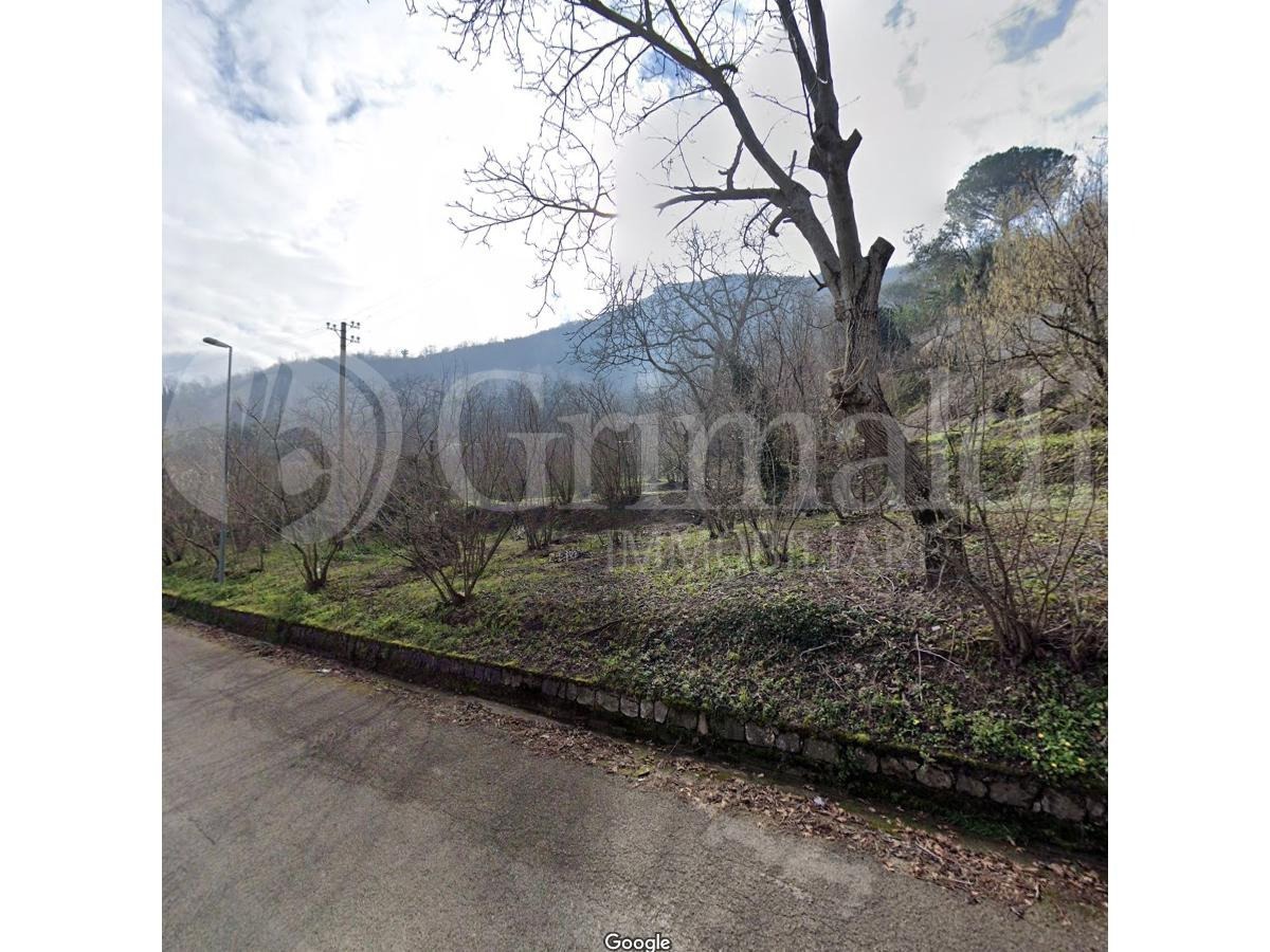 Terreno Agricolo in vendita a Montecorvino Rovella, 9999 locali, prezzo € 22.500 | PortaleAgenzieImmobiliari.it