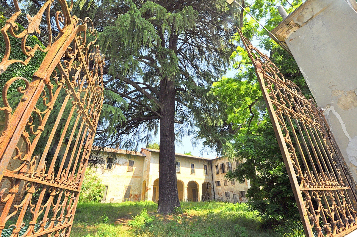 Villa in vendita a Mesero, 35 locali, prezzo € 435.000 | PortaleAgenzieImmobiliari.it