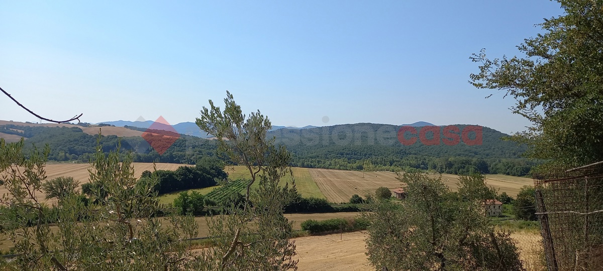 Terreno Agricolo in vendita a Montecatini Val di Cecina, 9999 locali, prezzo € 100.000 | PortaleAgenzieImmobiliari.it