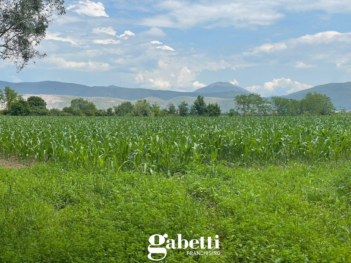 Terreno Agricolo in vendita a Vitulazio, 9999 locali, prezzo € 230.000 | PortaleAgenzieImmobiliari.it