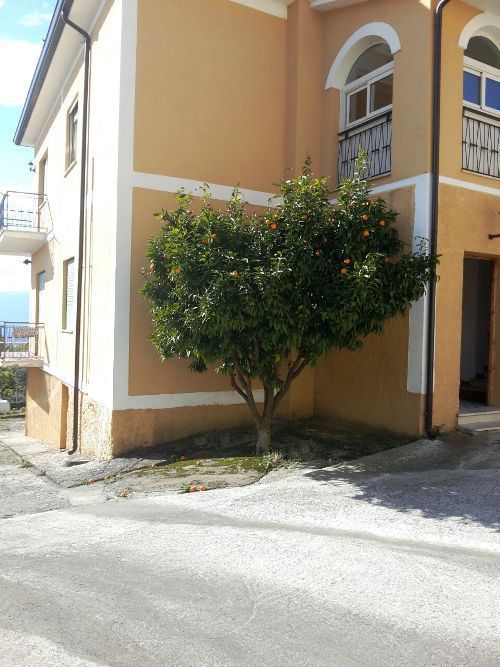 Appartamento in vendita a Villa Santa Lucia, 3 locali, prezzo € 80.000 | CambioCasa.it