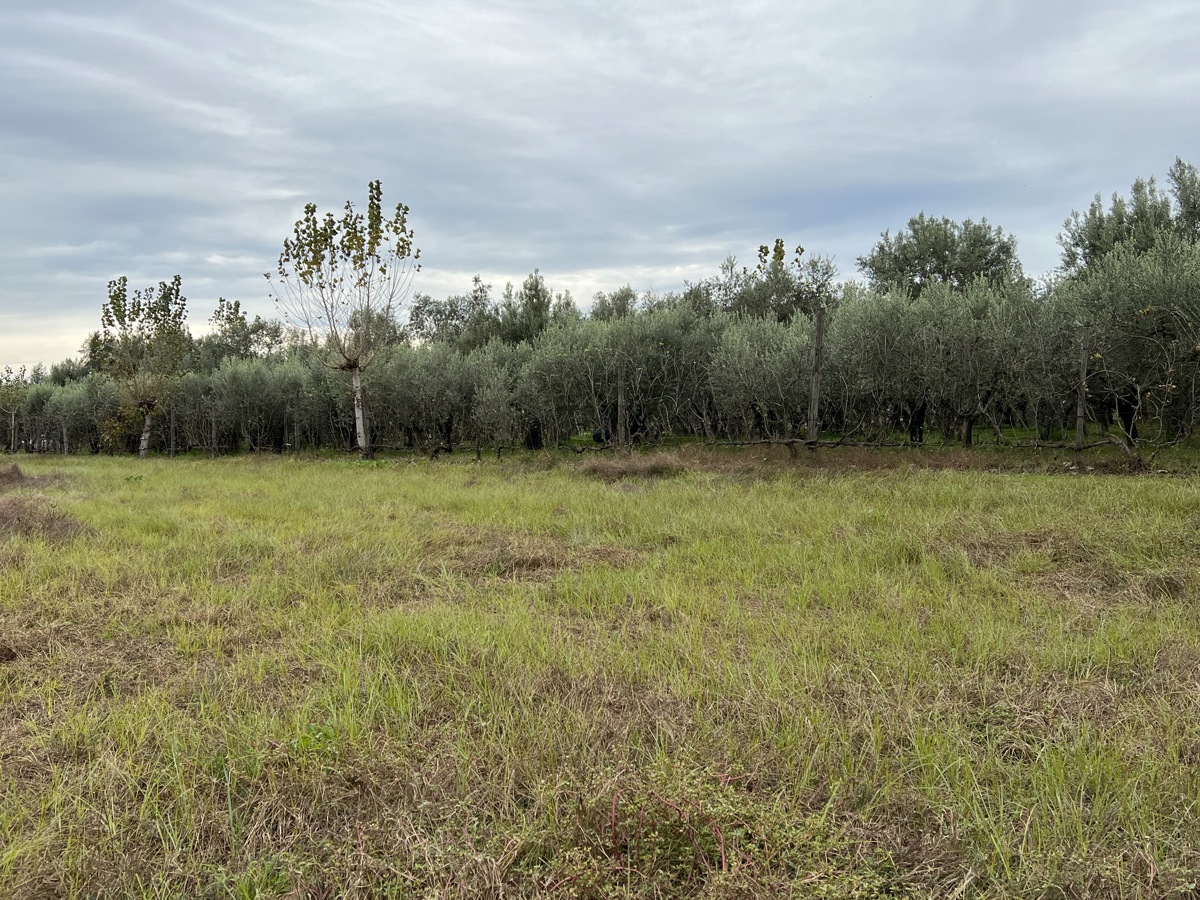 Terreno Agricolo in vendita a Capua, 9999 locali, prezzo € 30.000 | PortaleAgenzieImmobiliari.it