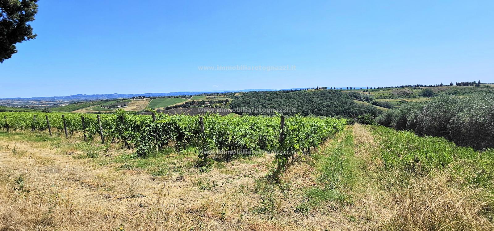 Terreno Agricolo in vendita a San Gimignano, 9999 locali, prezzo € 380.000 | PortaleAgenzieImmobiliari.it