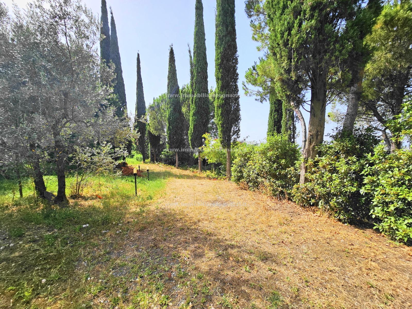 Terreno Edificabile Residenziale in vendita a Gambassi Terme