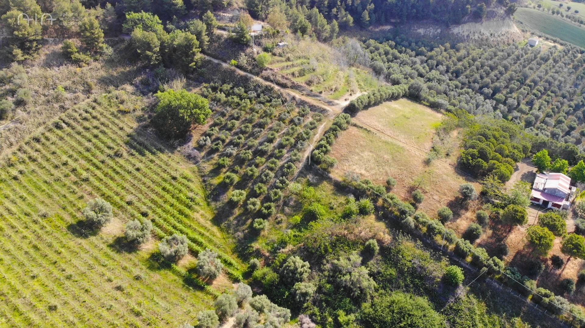 Terreno Agricolo in vendita a Monteprandone, 9999 locali, prezzo € 55.000 | PortaleAgenzieImmobiliari.it