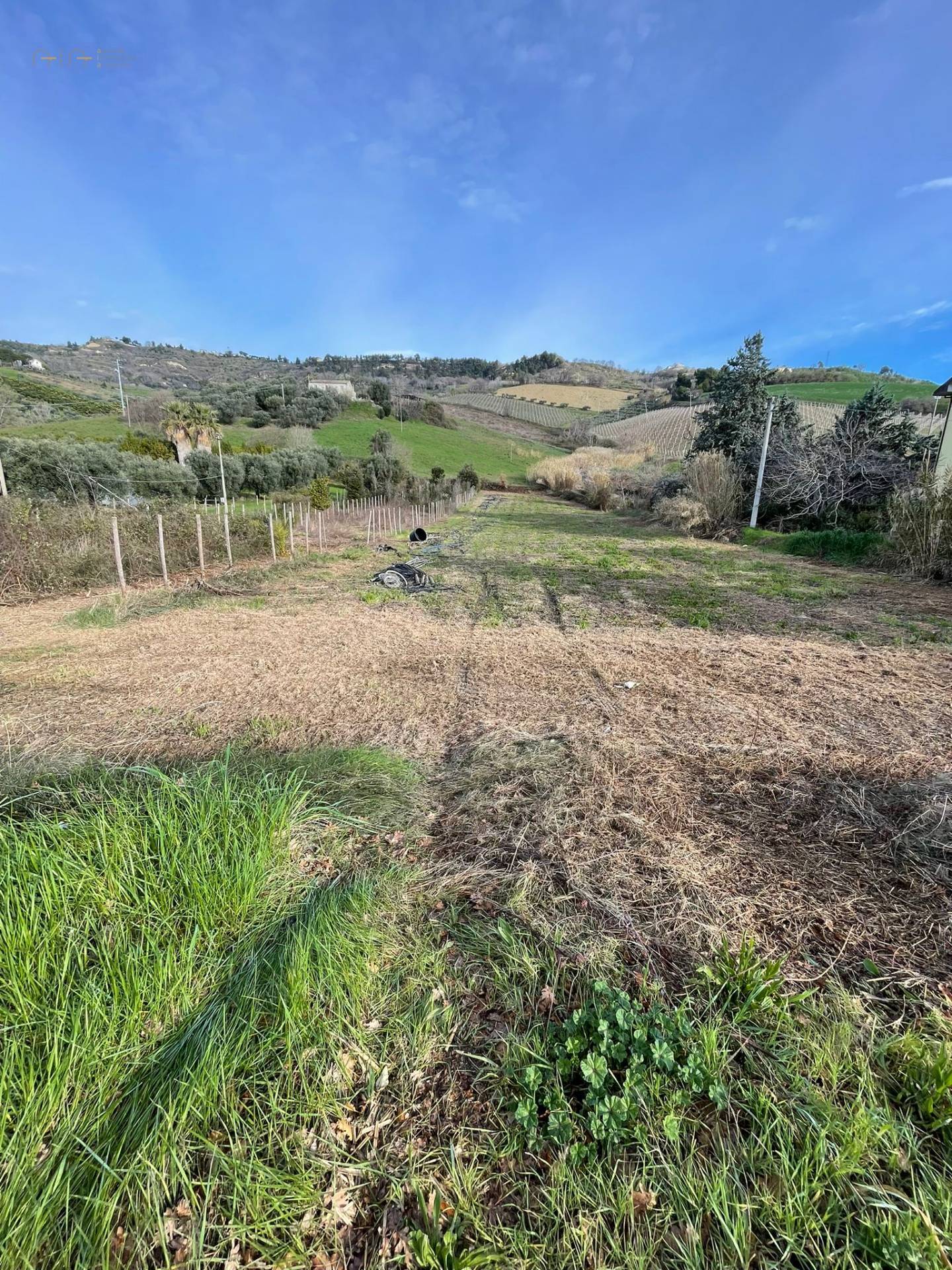 Terreno Agricolo in vendita a Ripatransone, 9999 locali, zona Località: ValTesino, prezzo € 90.000 | PortaleAgenzieImmobiliari.it