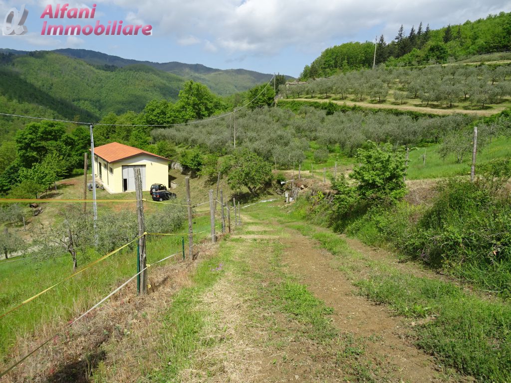 Terreno Agricolo in Vendita a Pratovecchio Stia