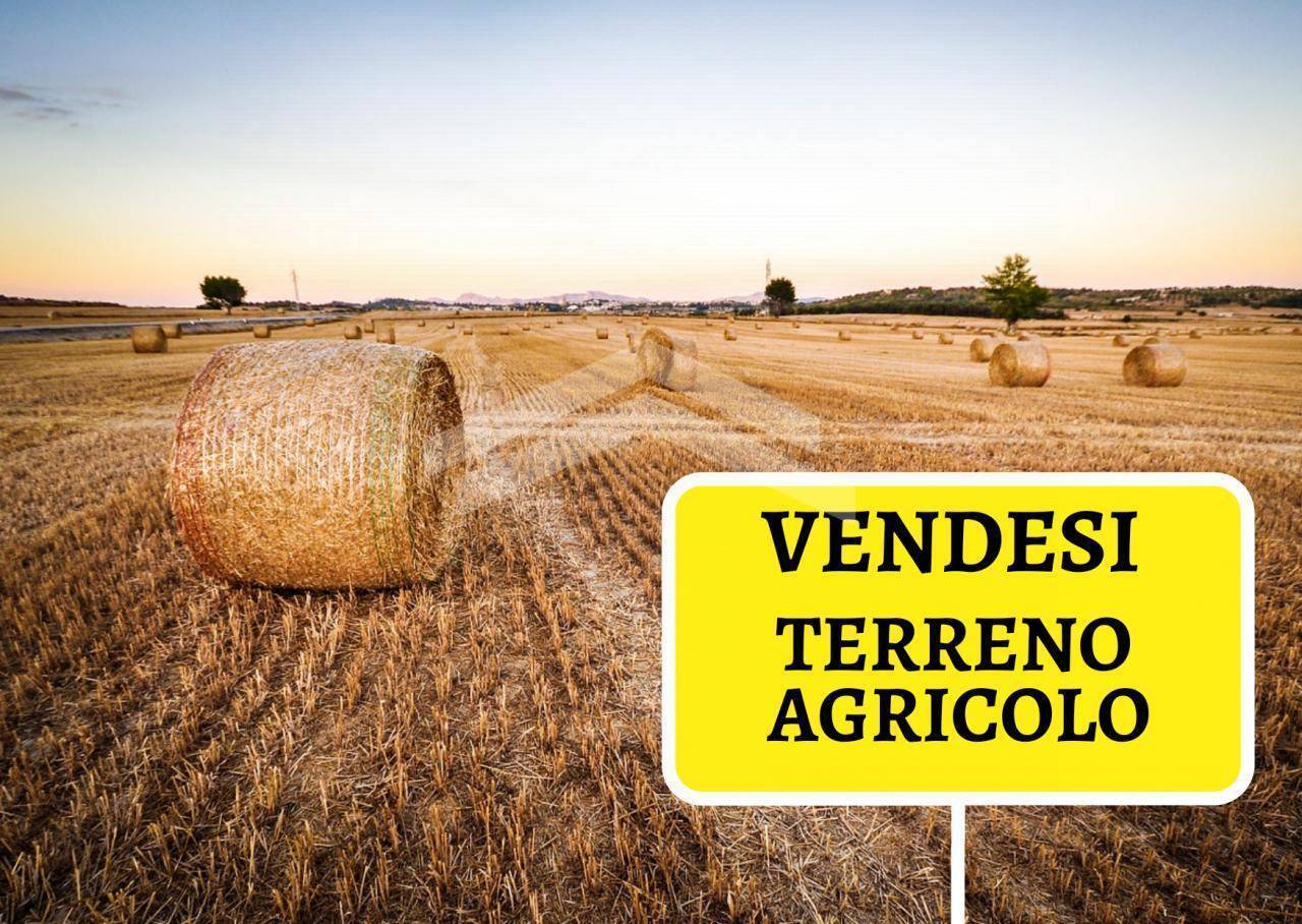 Terreno Agricolo in vendita a Castropignano, 9999 locali, prezzo € 45.000 | PortaleAgenzieImmobiliari.it