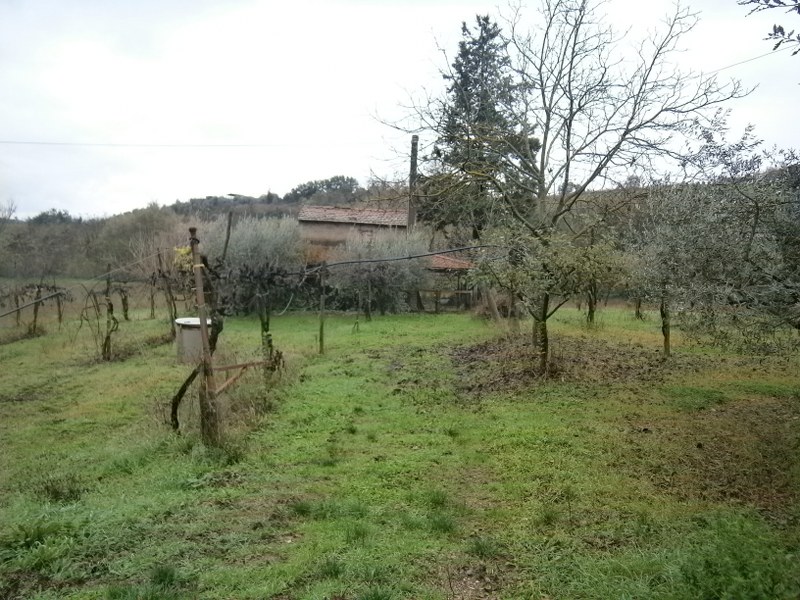 Terreno Agricolo in vendita a San Nazzaro, 9999 locali, prezzo € 45.000 | CambioCasa.it