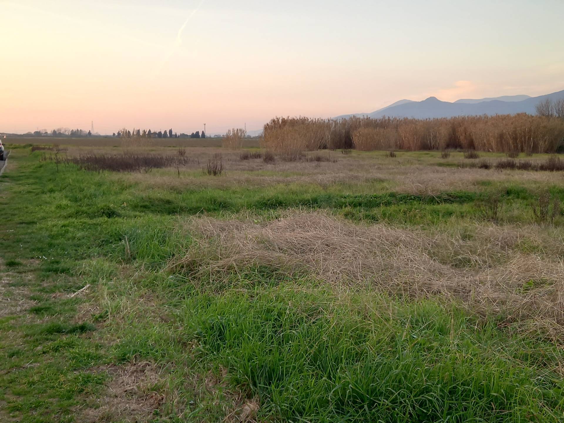 Terreno Agricolo in vendita a Casciana Terme Lari